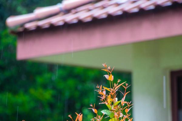 Bruine : petite pluie très fine et froide - Définition de bruine