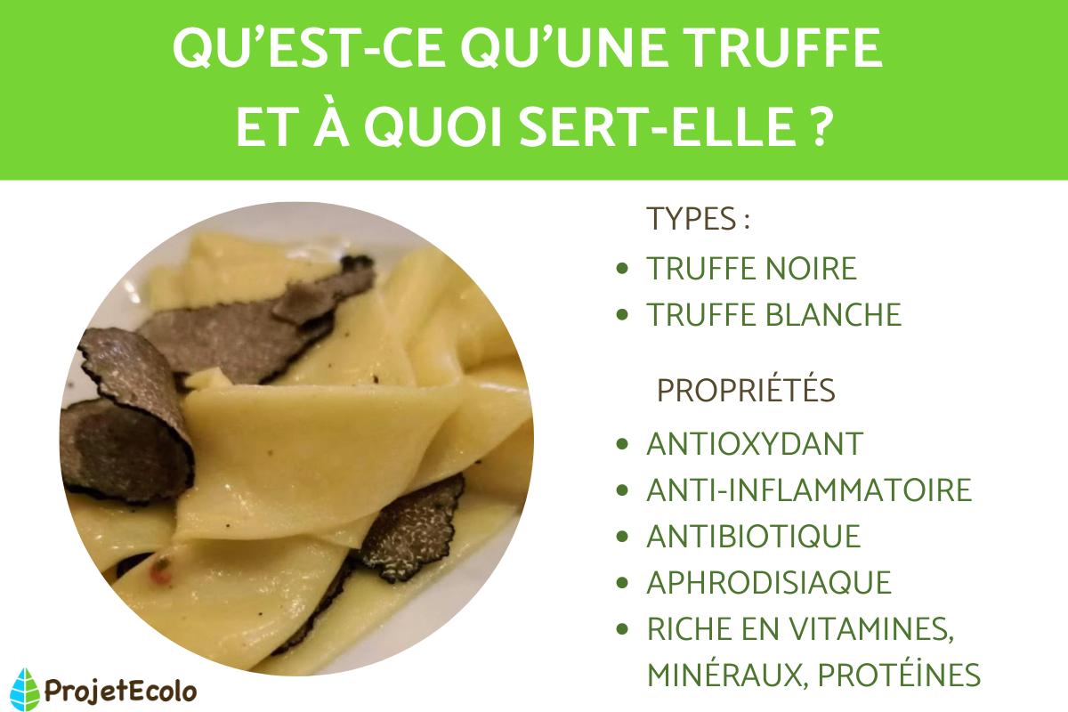 Truffe : Types, propriétés, utilisation