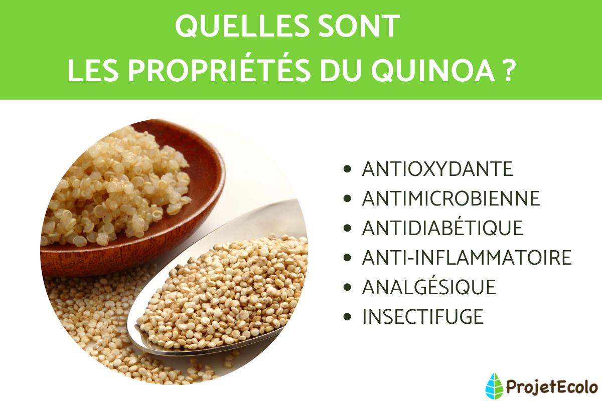 Quinoa : propriétés, bienfaits et utilisation