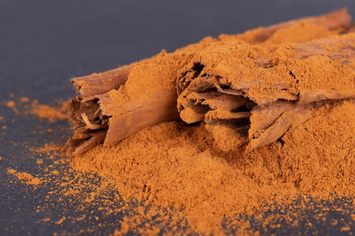 Cannelle sur les plantes : 5 bienfaits