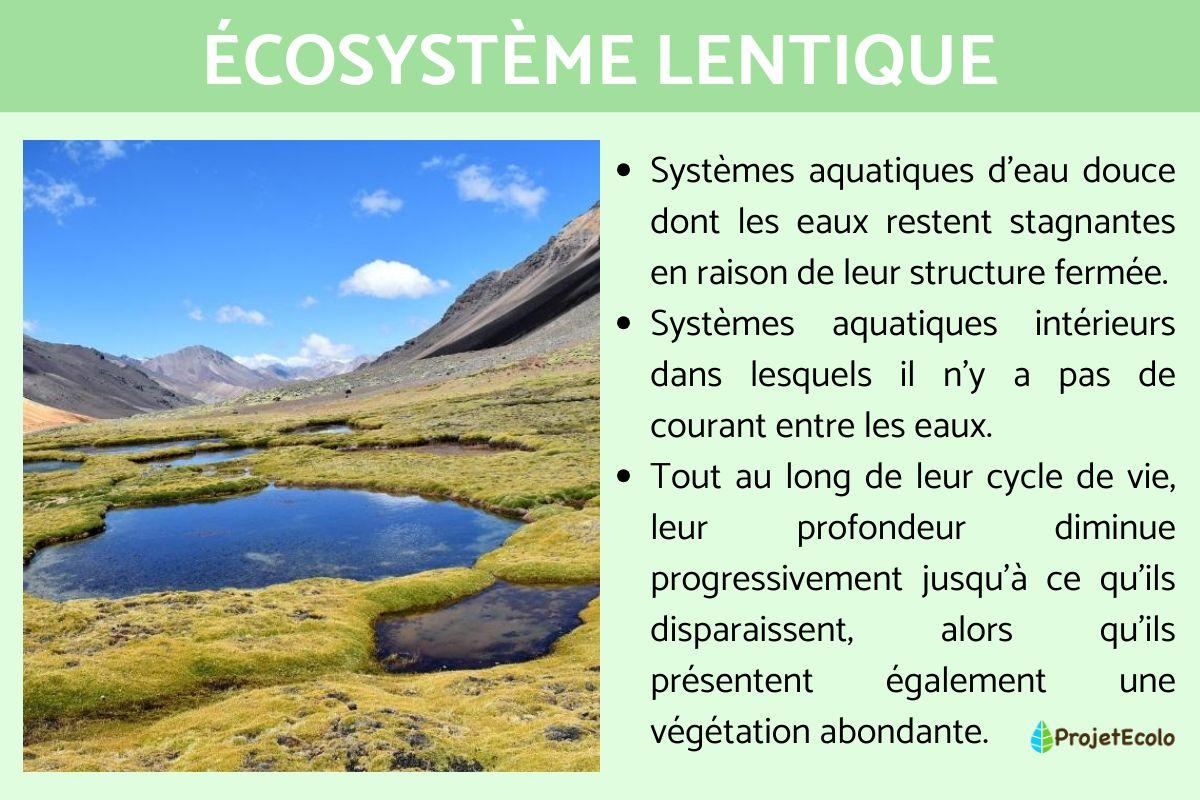 Écosystème lentique