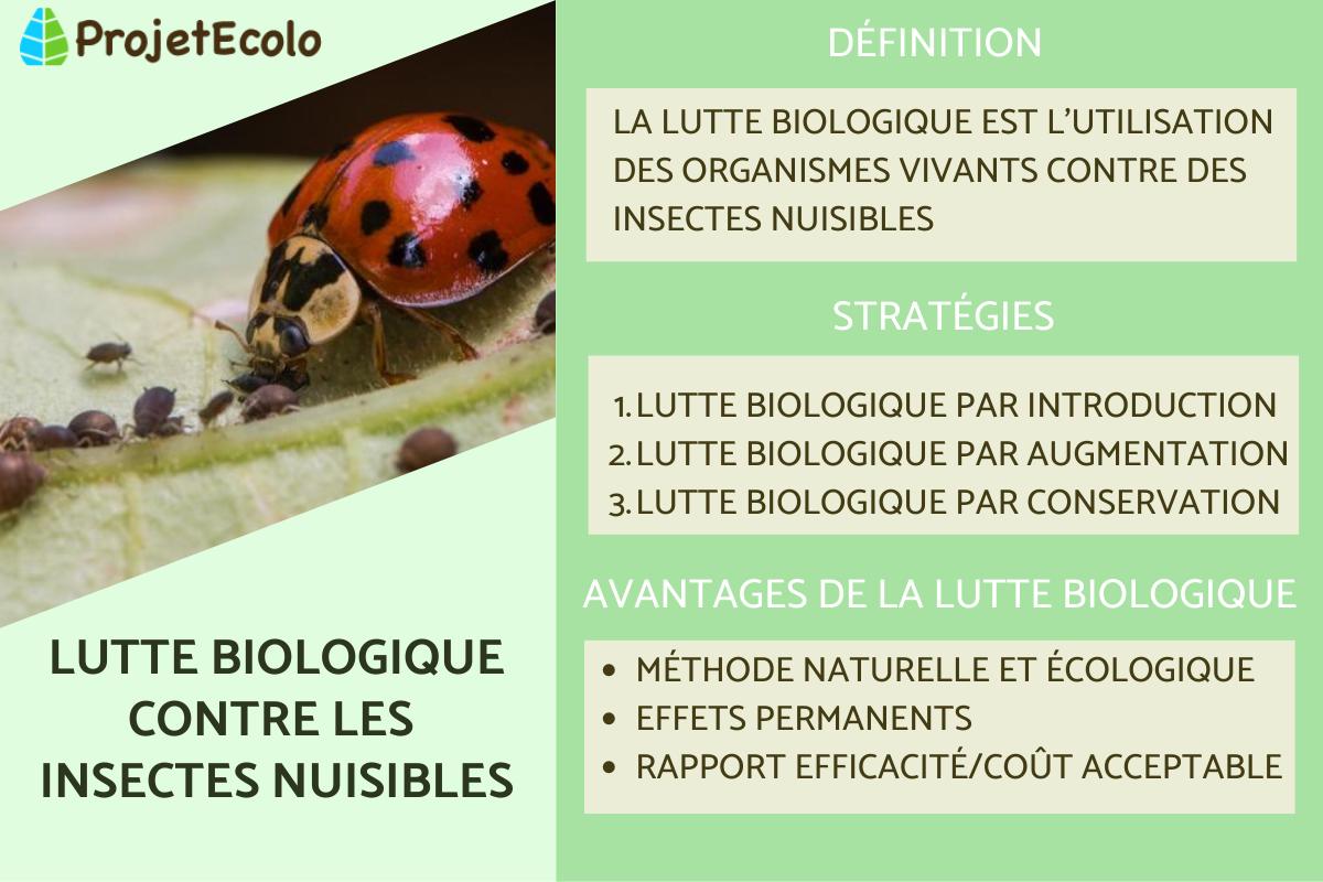 Lutte biologique : définition, avantages, inconvénients