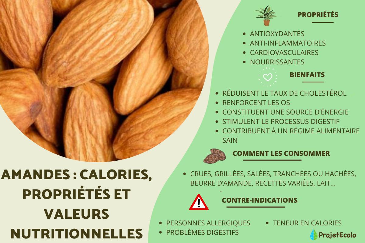 Amandes : calories, propriétés et valeurs nutritionnelles