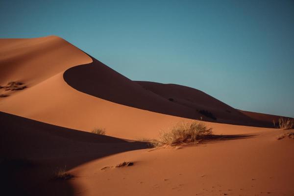 Dunes : Définition, formation, types et importance - Comment se forment les dunes ?
