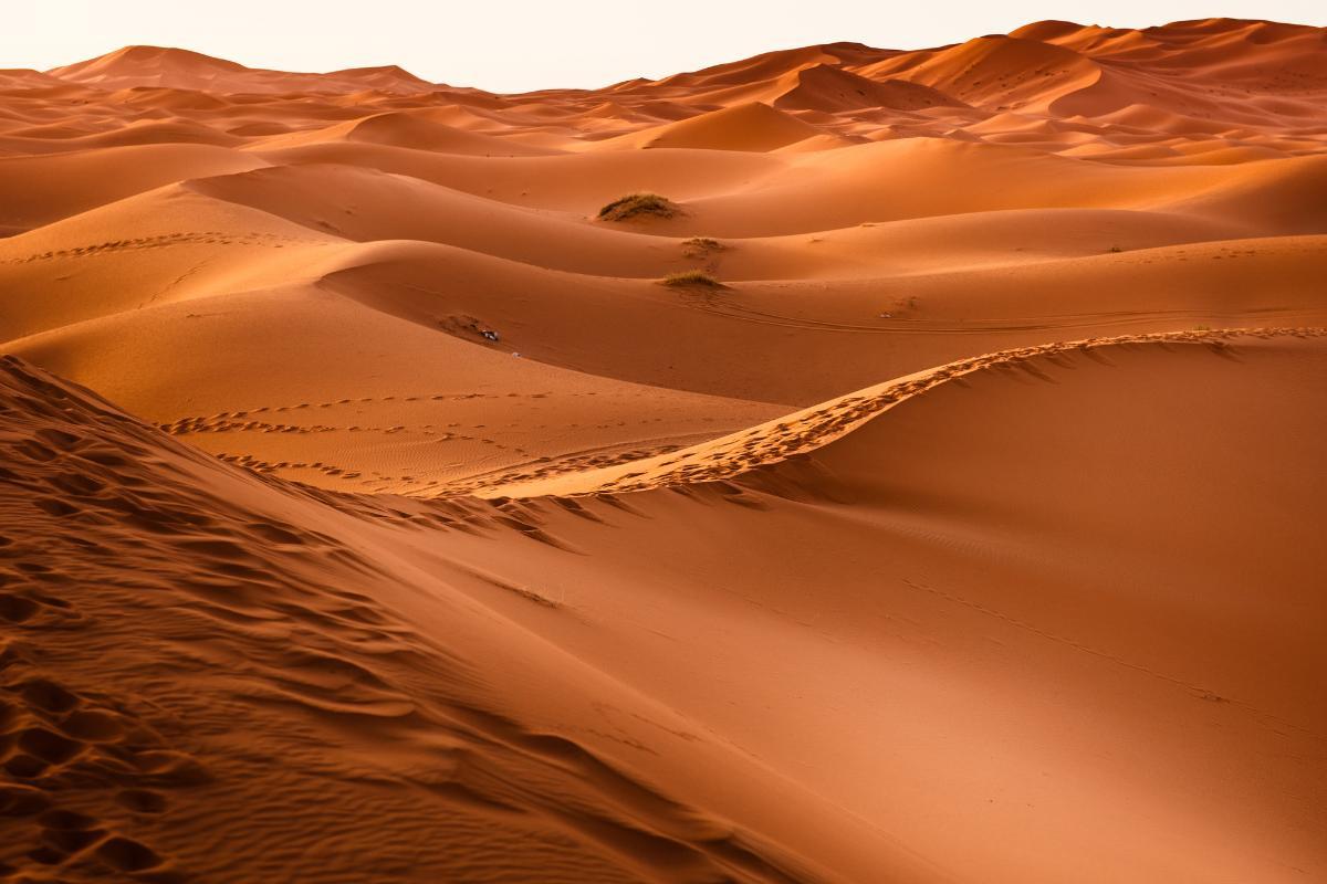 Dunes : Définition, formation, types et importance