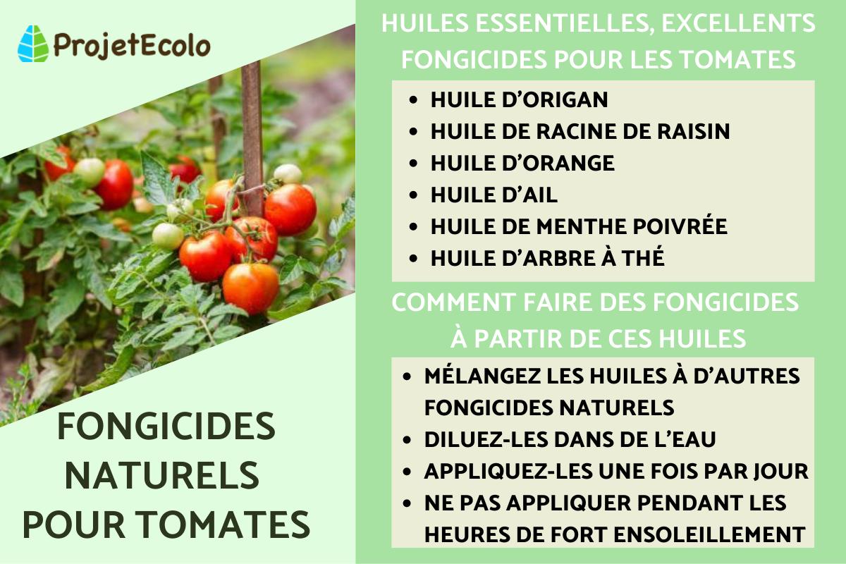 Fongicides naturels pour les tomates