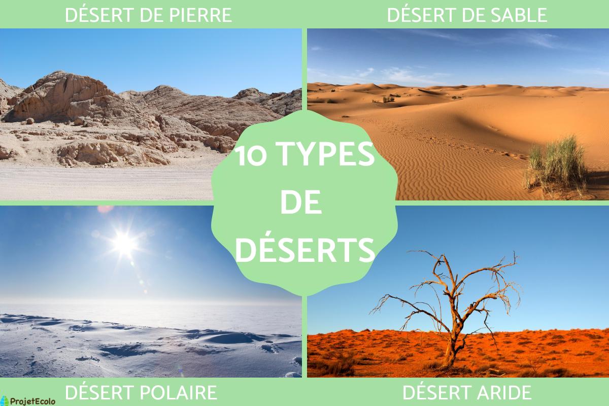10 Types de déserts Caractéristiques et PHOTOS