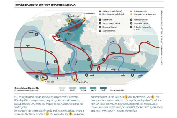 Courant de Humboldt : définition, causes, conséquences et carte - Caractéristiques du courant de Humboldt 