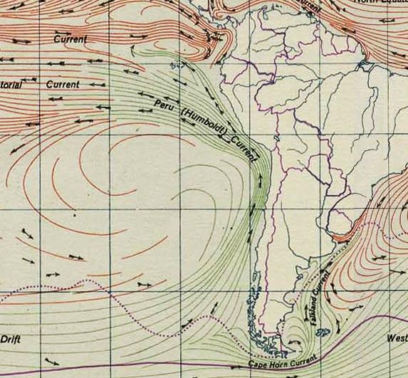 Courant de Humboldt : définition, causes, conséquences et carte - Carte du courant de Humboldt 