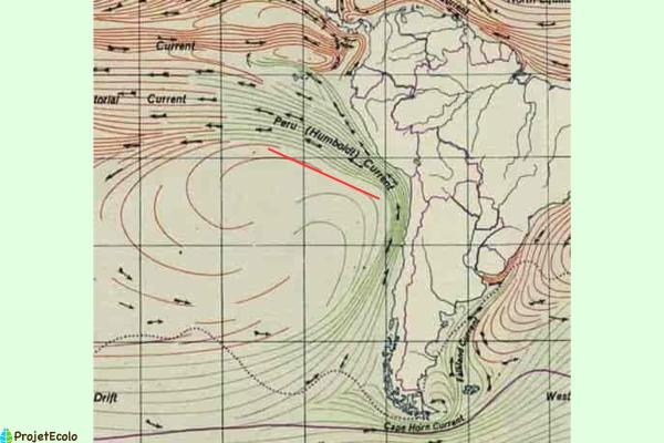 Courant de Humboldt : définition, causes, conséquences et carte - Causes du courant de Humboldt 