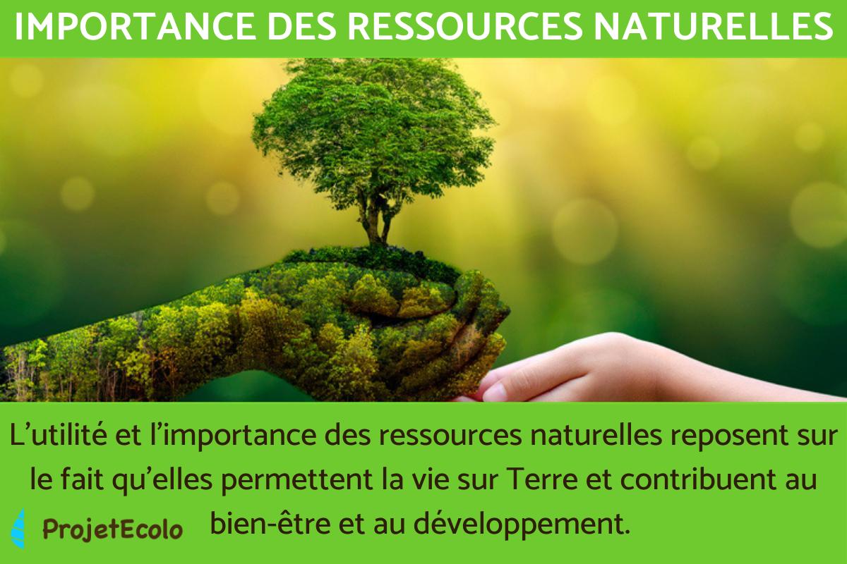 Importance des ressources naturelles - Économie et société