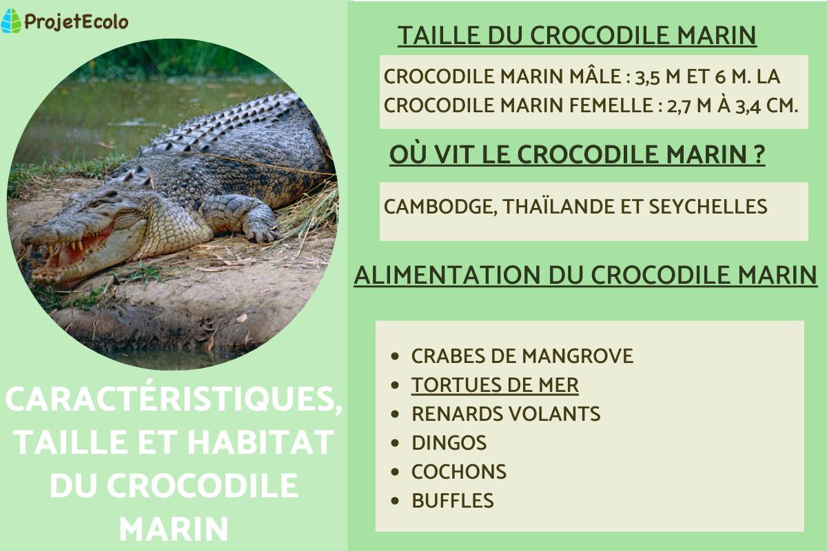Crocodile marin caractéristiques, taille et alimentation — free download