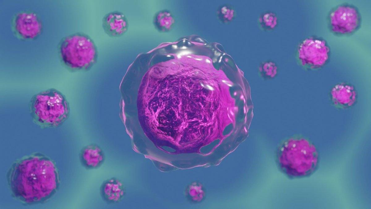 Biologie cellulaire : Définition et importance