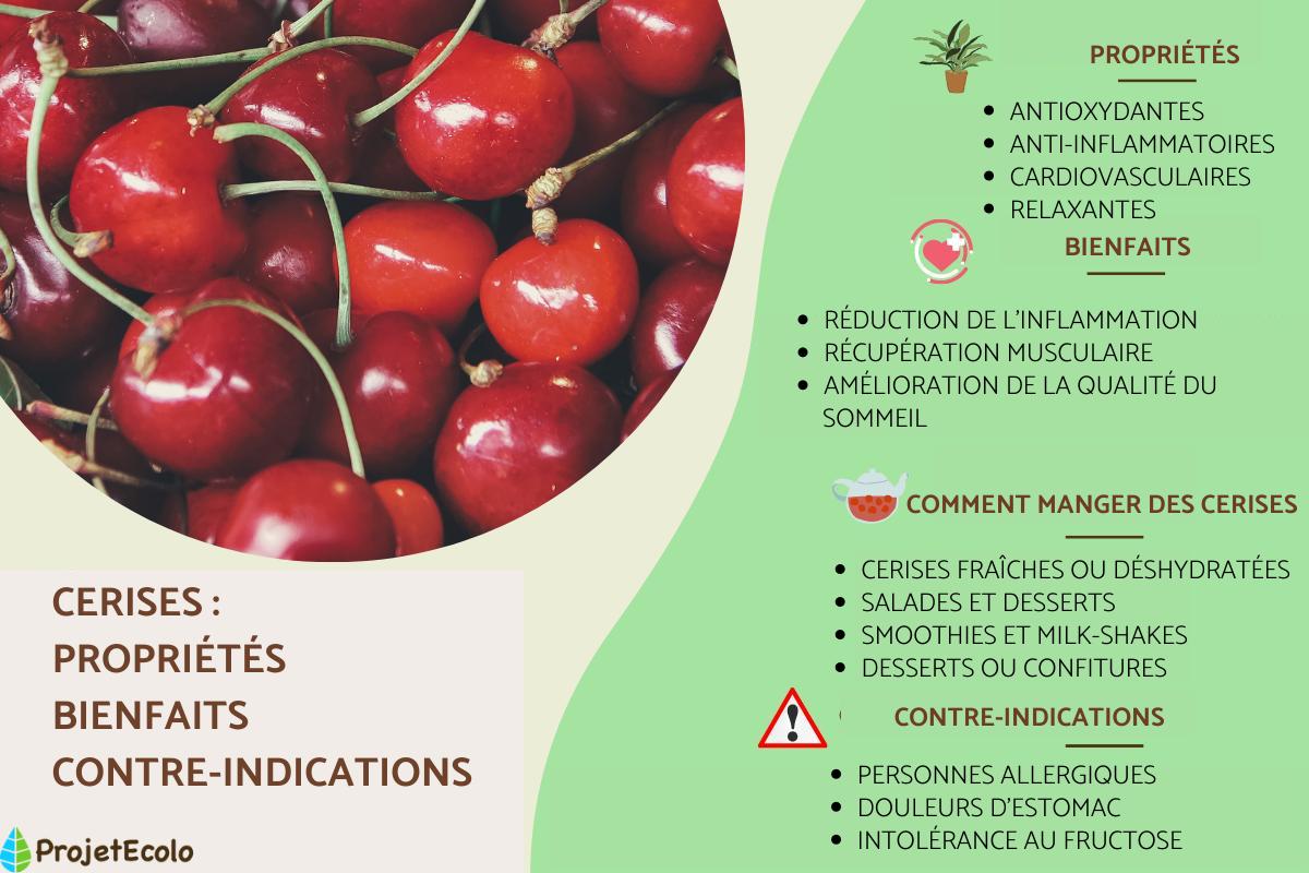 Cerises : propriétés, bienfaits et contre-indications