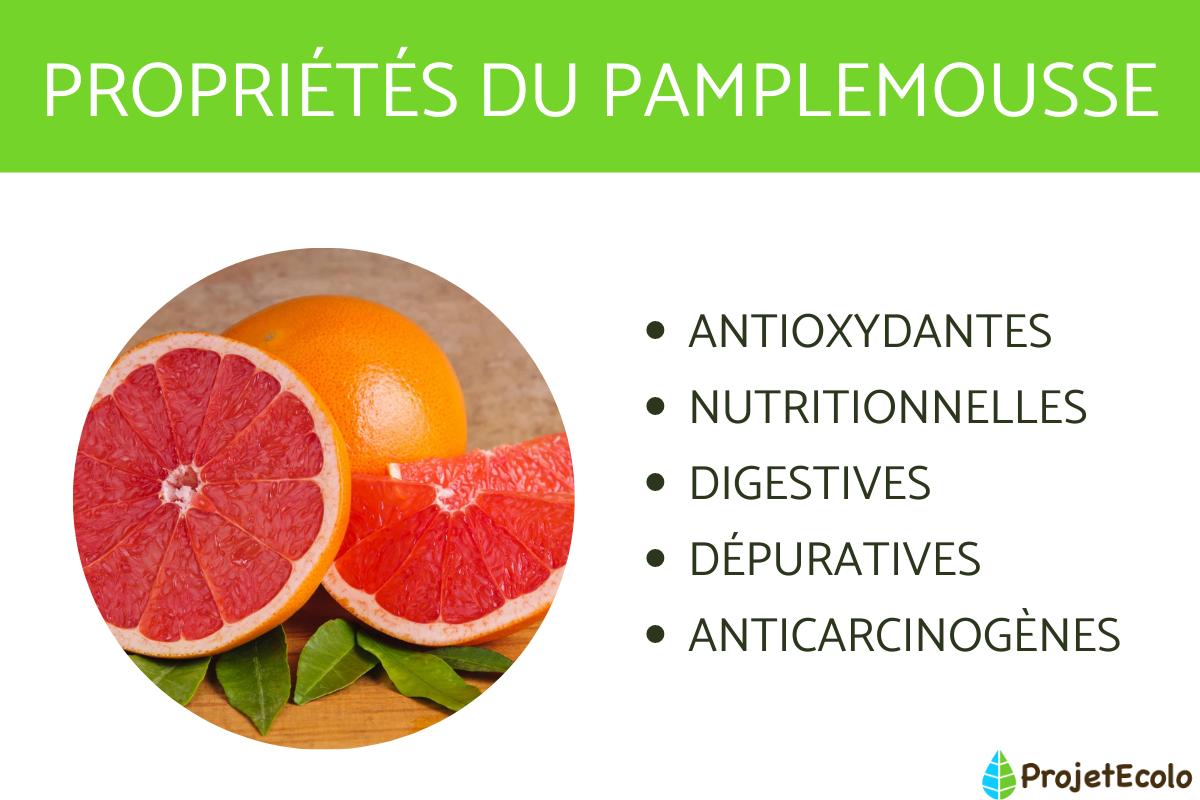 PAMPLEMOUSSE PROPRIÉTÉS, BIENFAITS et CONTREINDICATIONS