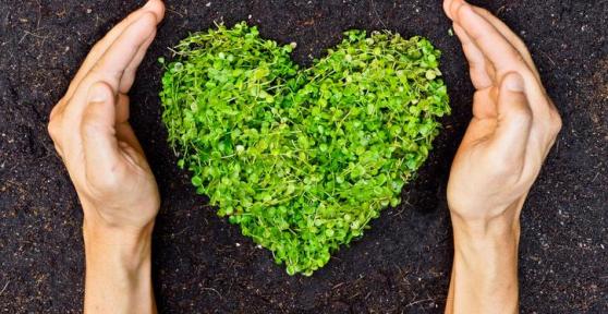 Conservation des sols : importance, techniques et pratiques