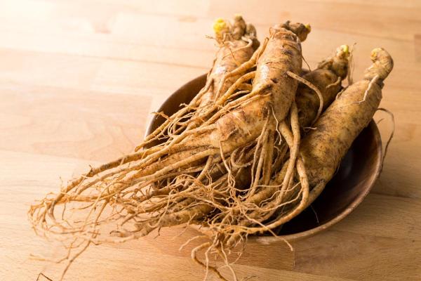 Ginseng rouge coréen (Panax ginseng) : bienfaits et contre-indications - Contre-indications du ginseng rouge coréen