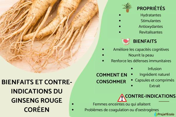 Ginseng rouge coréen (Panax ginseng) : bienfaits et contre-indications