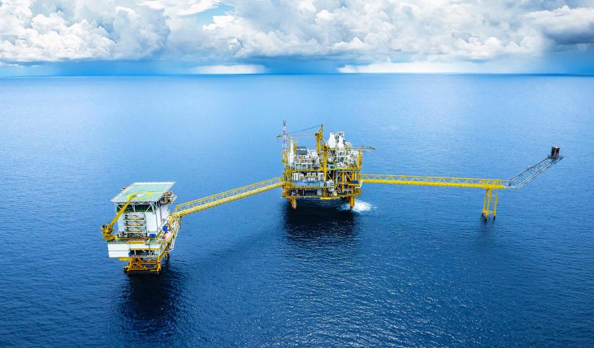 Pollution pétrolière - Causes et conséquences