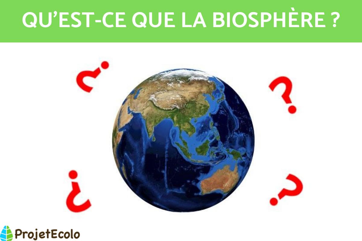 Biosphère : Définition, couches et caractéristiques