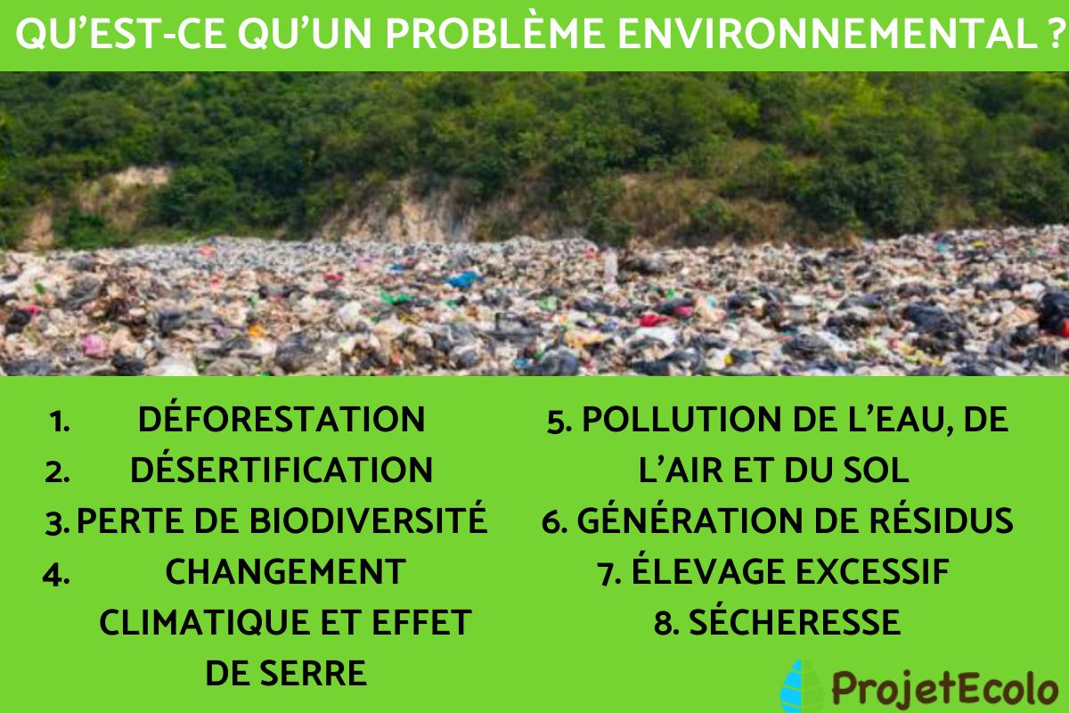 Quels sont les problèmes environnementaux