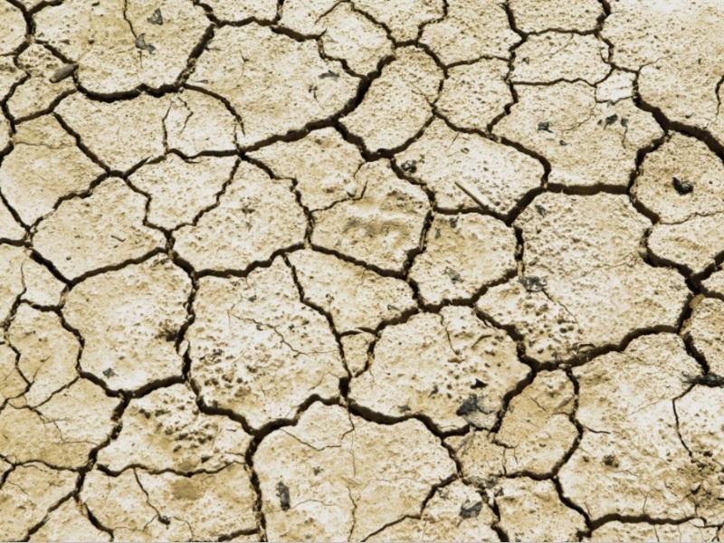 Sécheresse - Définition, causes et conséquences
