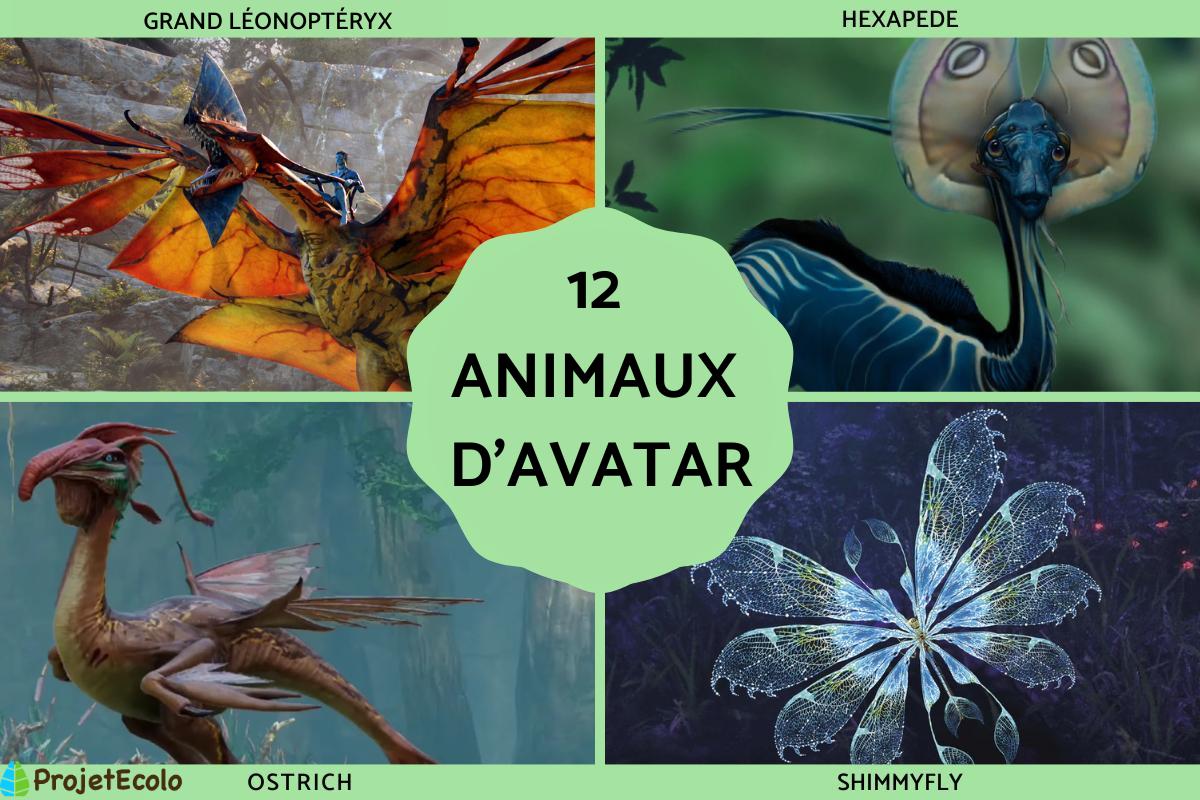 Animaux d'Avatar dans la vraie vie