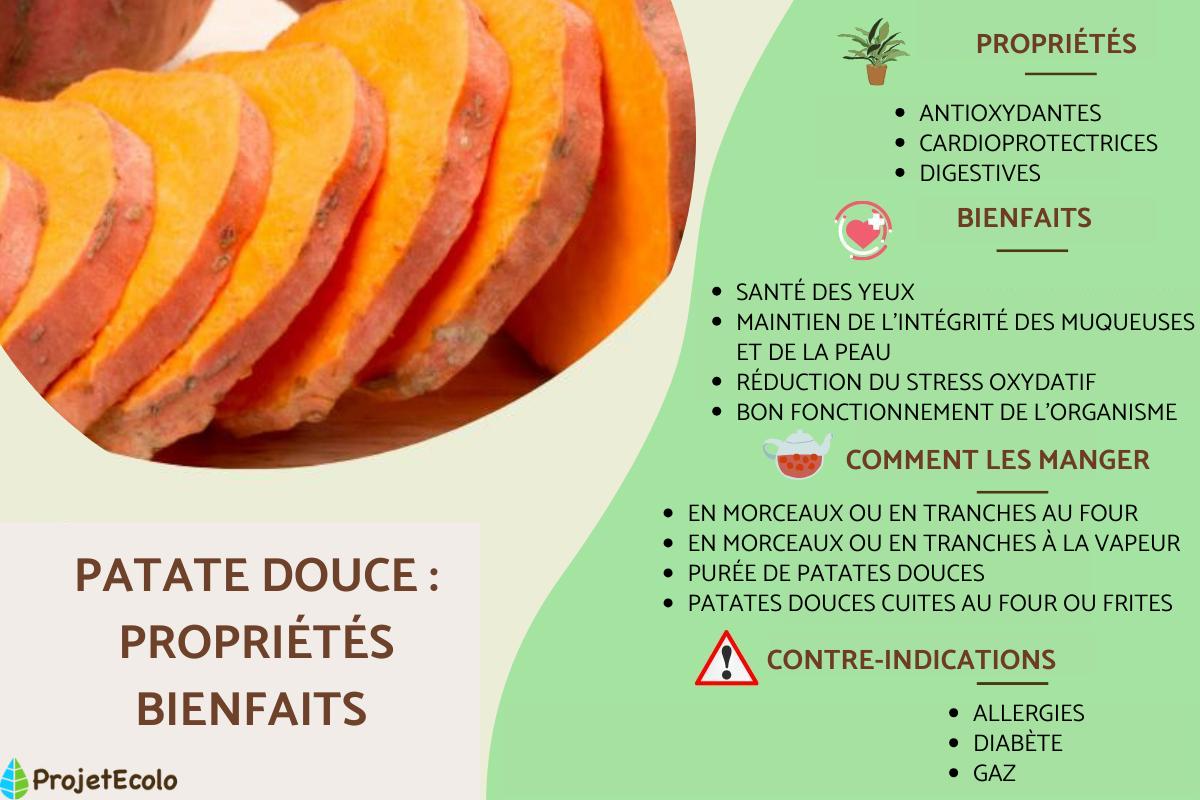Patate douce : propriétés, bienfaits et contre-indications