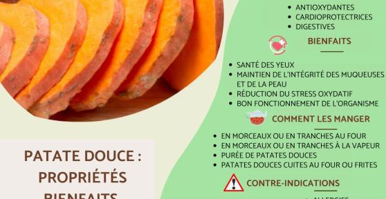 Patate douce : propriétés, bienfaits et contre-indications