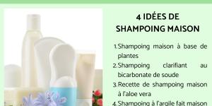 Comment faire du shampoing maison