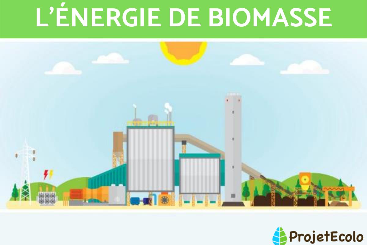 L'énergie biomasse : Définition, avantages et inconvénients