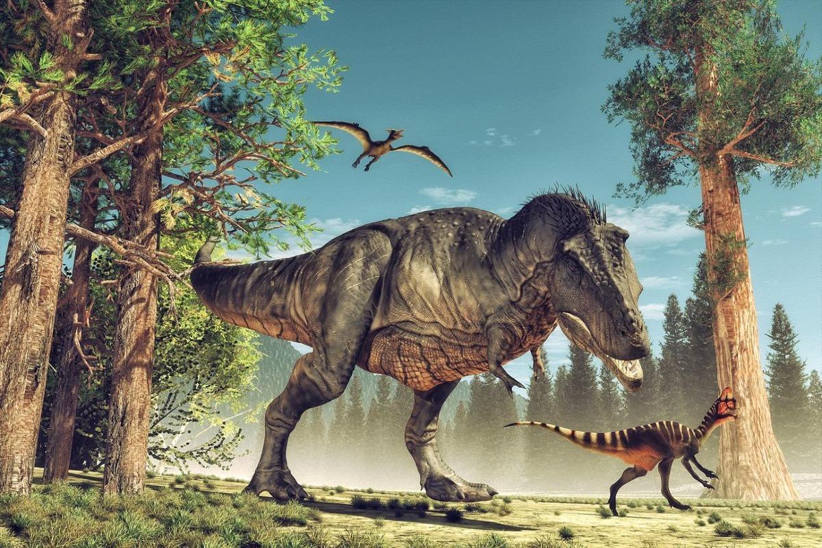 Dinosaures carnivores : noms, types, caractéristiques et photos