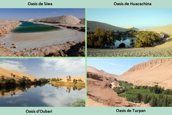 Oasis : Définition, formation et types de déserts - Exemples d'oasis 