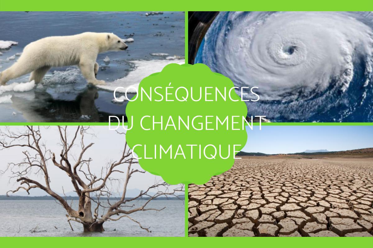 Conséquences du changement climatique