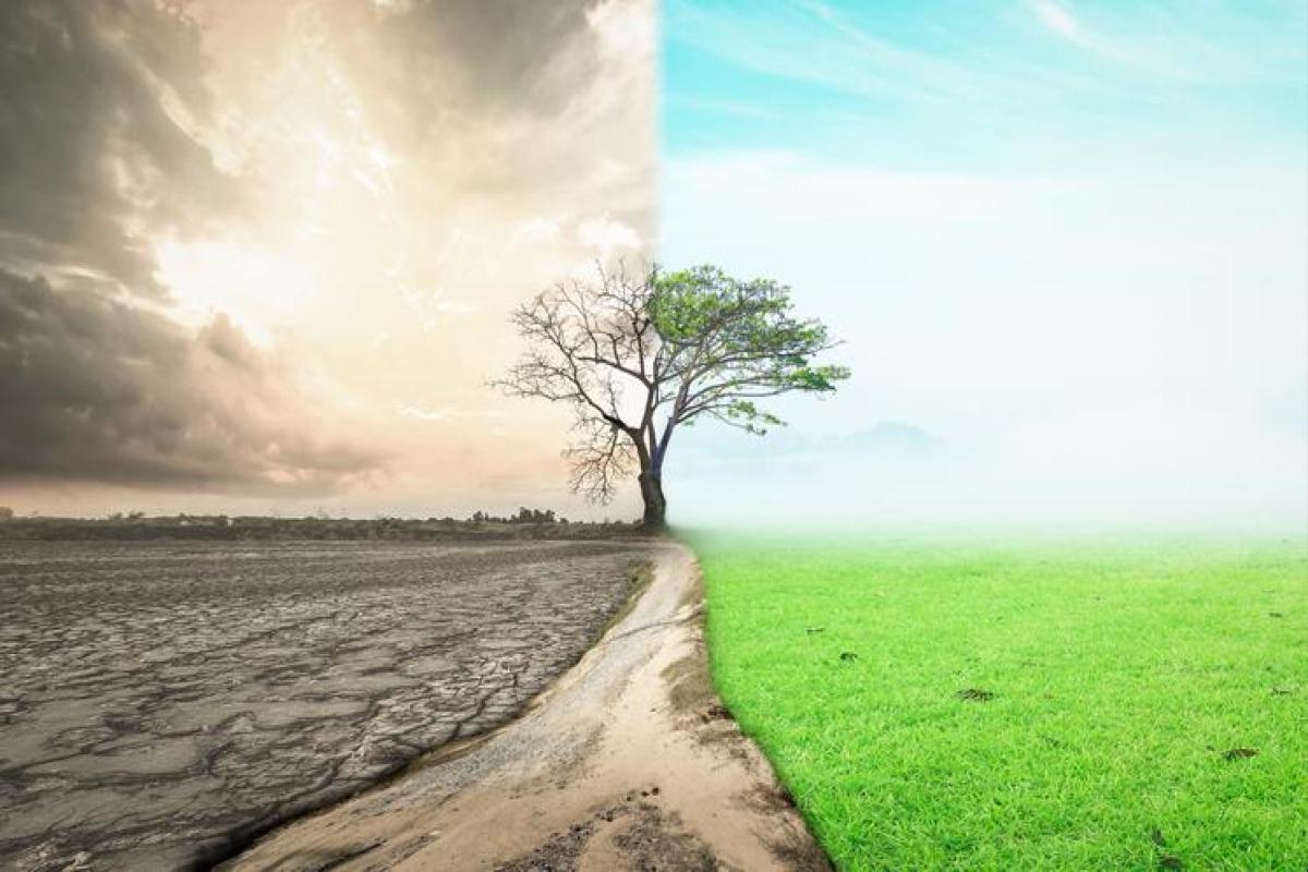 20 problèmes environnementaux - Solutions et exposé sur l'environnement