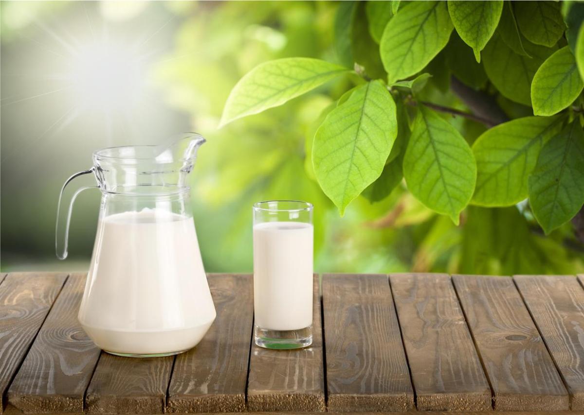 Lait sur les plantes - Bienfaits et utilisations