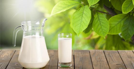 Lait sur les plantes - Bienfaits et utilisations
