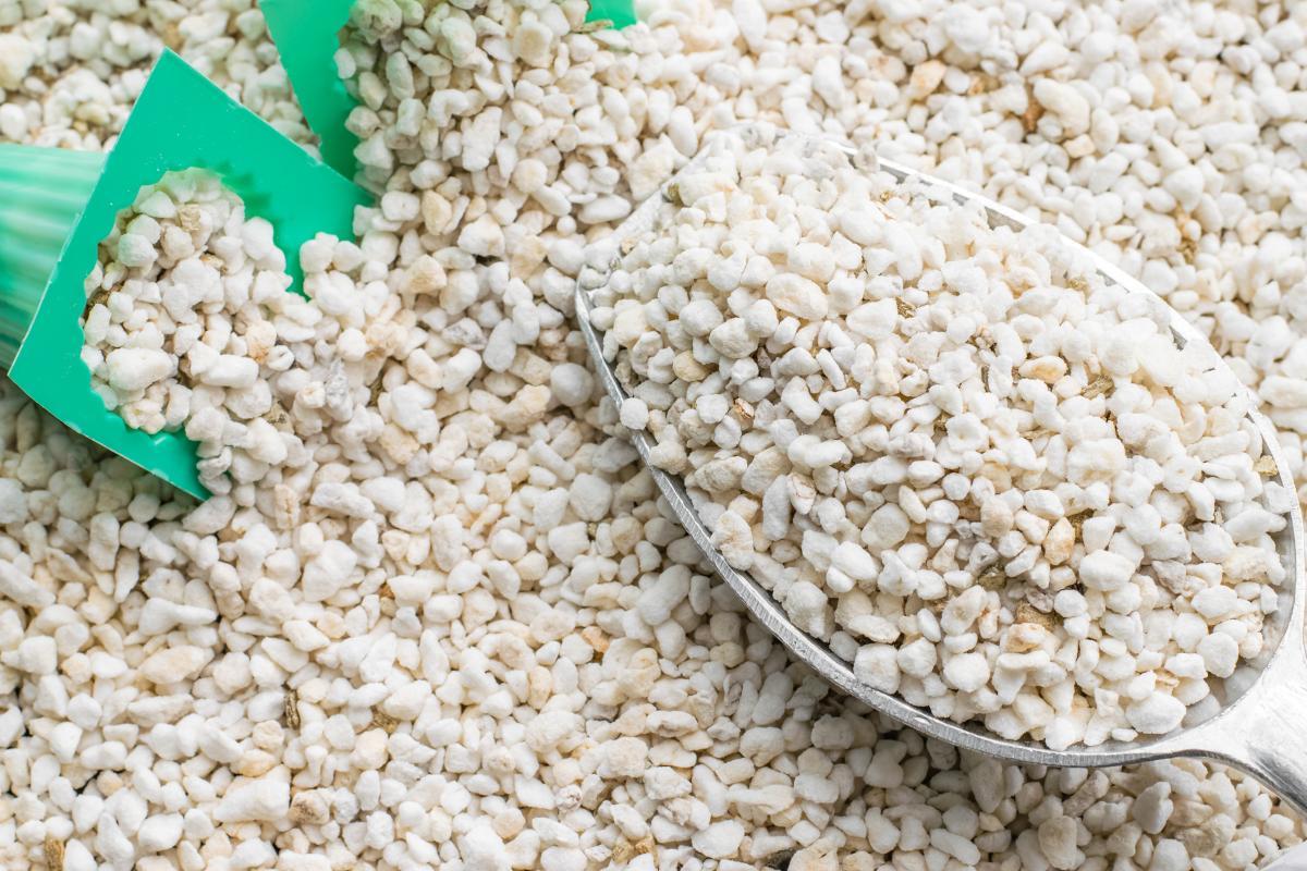 Perlite ou vermiculite ? Différences Guide pratique