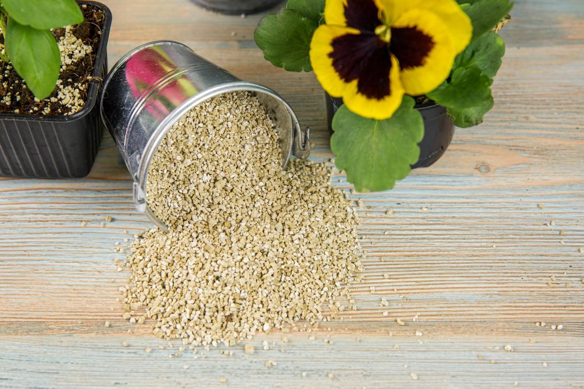 Perlite ou vermiculite ? Différences Guide pratique