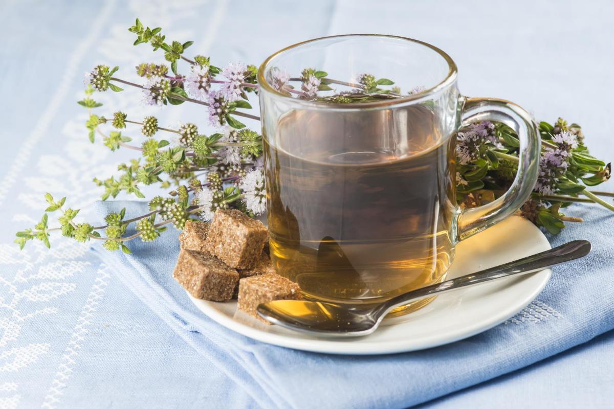 Menthe Pouliot : Bienfaits, dangers et propriétés