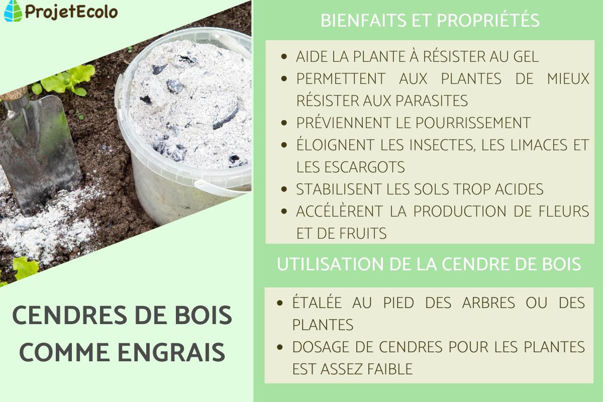 Que faire des cendres de bois au jardin ? Utilisation des cendres de bois